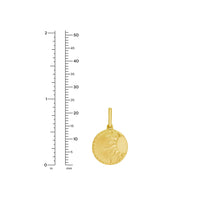 Load image into Gallery viewer, 14k Yellow Gold 22mm Polished Sun Token with Optional Chain Pendant Charm