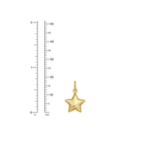 Load image into Gallery viewer, 14k Yellow Gold 17.8mm Polished Small Puff Star with Optional Chain Pendant Charm