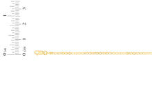 Load image into Gallery viewer, 10k Yellow Gold 2mm Solid Mariner Link Chain Necklace