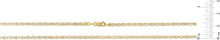 Load image into Gallery viewer, 10k Tri-Color Gold 2.5mm Valentino Link Chain Bracelet or Anklet