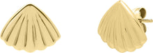 Load image into Gallery viewer, 10k Yellow Gold 9mm Sea Shell Stud Earrings