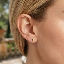 Load image into Gallery viewer, 14k Yellow Gold 3.9mm Flat Back Mini Puffed Heart Stud Earrings