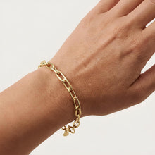 Load image into Gallery viewer, 14k Yellow Gold 5mm Paperclip Charm Link Bracelet, 7 Inch