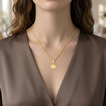 Load image into Gallery viewer, Italian 14k Yellow Gold 16.5mm Reversible Radiant & High Shine Jewish Star of David, Magen David (Hebrew), Charm Pendant with Optional Necklace, 16-17-18 Inch