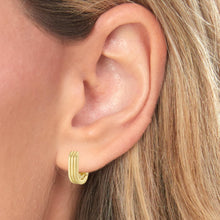 Load image into Gallery viewer, 14k Yellow Gold 12mm Triple Row Oval Hoop Earrings