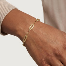 Load image into Gallery viewer, 14k Yellow Gold 6mm Beaded Paperclip Link Bracelet, 7.5 Inch