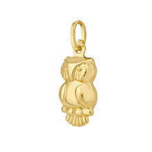Load image into Gallery viewer, 14k Yellow Gold 17.5mm Polished Fancy Owl with Optional Chain Pendant Charm
