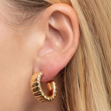 Load image into Gallery viewer, 14k Yellow Gold 22.7mm x 8mm Ribbed Straight Edge C-Hoop Earrings
