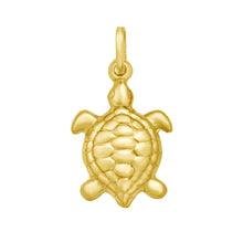 Load image into Gallery viewer, 14k Yellow Gold 26mm Polished Turtle with Optional Chain Pendant Charm
