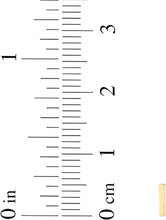 Load image into Gallery viewer, 14k Yellow Gold 0.2&quot; Mini Alphabet Letter A - Z Initial Charm Pendant with Extendable Adjustable Chain Necklace
