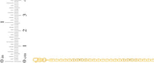 Load image into Gallery viewer, 10k Yellow Gold 2.3mm Solid Anchor Mariner Mirror Chain Bracelet or Anklet, 7 Inch or 10 Inch
