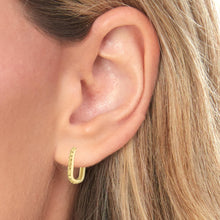 Load image into Gallery viewer, 14k Yellow Gold 14.1mm x 2mm or 20.2mm x 2mm Textured Rounded Rectangular Hoop Earrings
