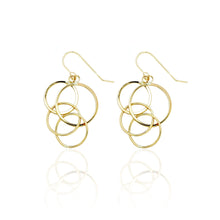 Load image into Gallery viewer, 14k Yellow Gold Dangling Circles Drop Earring with Fish Hook in Gift Box
